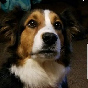 Meet your Posher, Scott